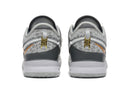 Nike Zoom LeBron NXXT Gen 'Wolf Grey'
